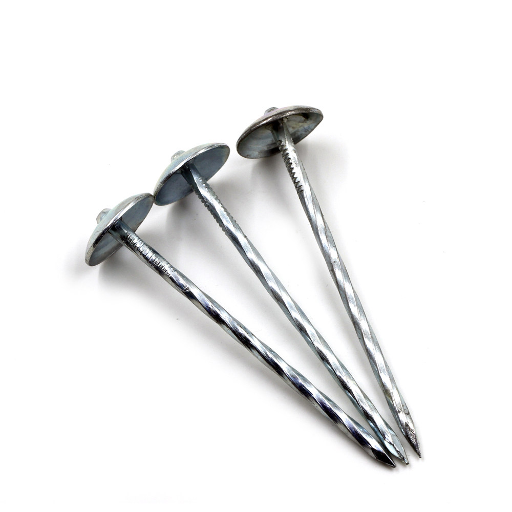 Roofing Nail