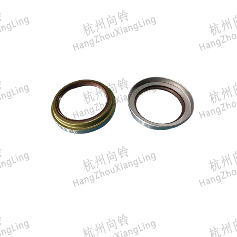 Oil Seal