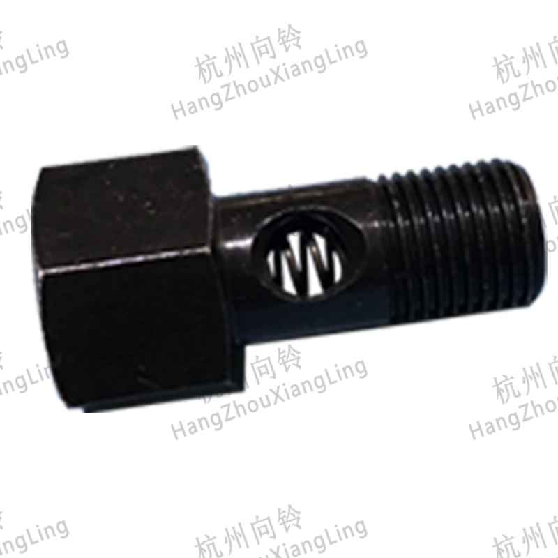 Timing Injection Pipe Screw