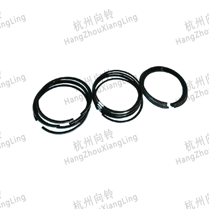 Piston Ring