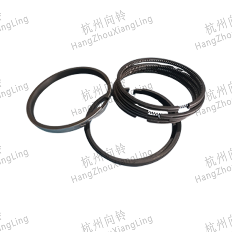 Piston Ring