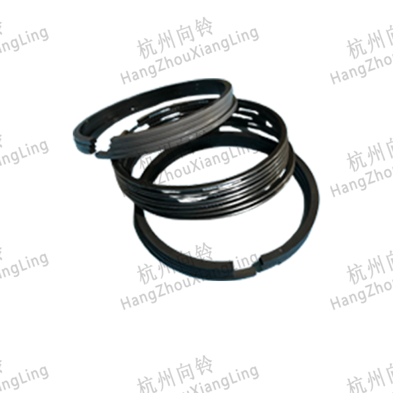 Piston Ring