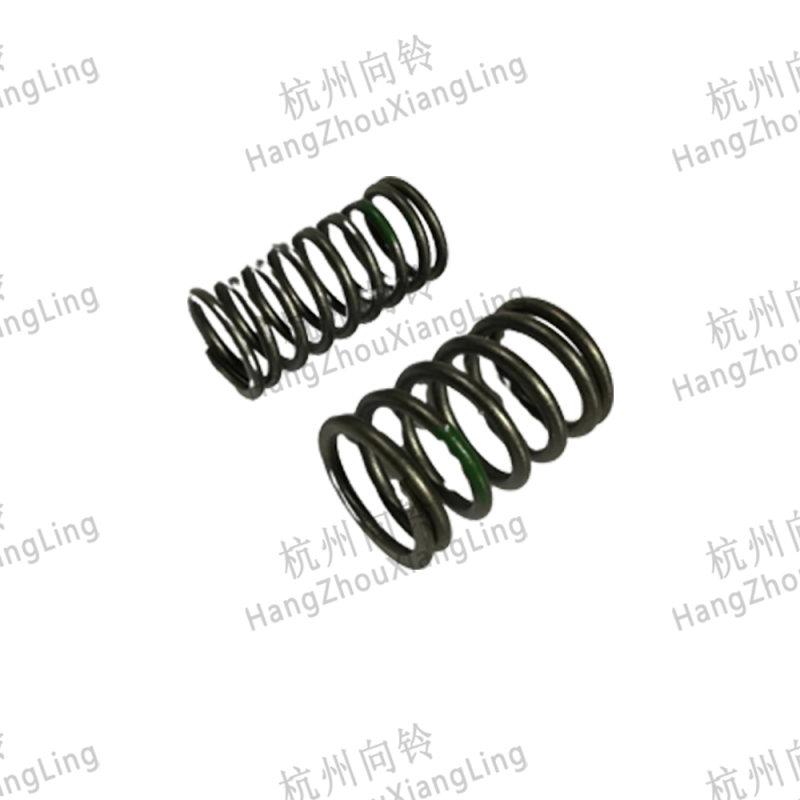 Valve Spring