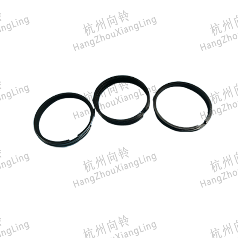 Piston Ring