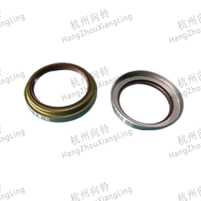 Oil Seal