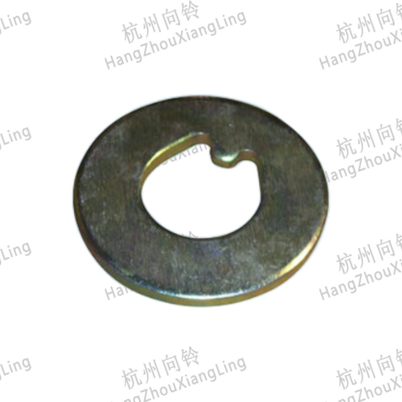 Steering Knuckle Lock Washer