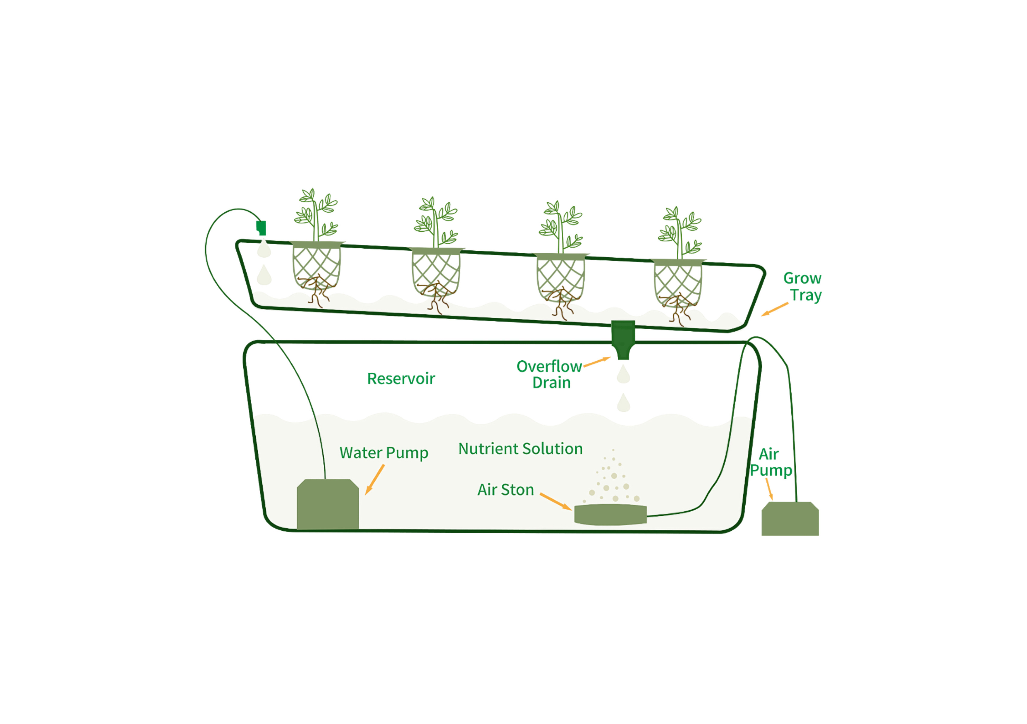 What is NFT hydroponic system?