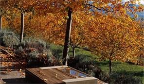 MAOKE AUTO MOTIVE CO LIMITED