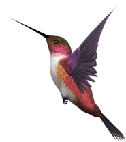 MAOKE AUTO MOTIVE CO LIMITED