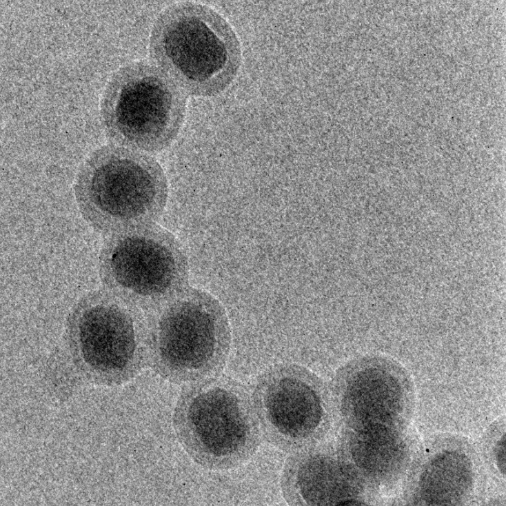 无表面基团上转换纳米颗粒