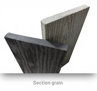 Section grain of Regalboard