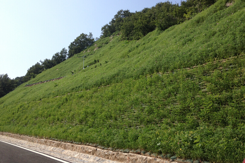 生态边坡复绿情况_绿化施工_防护矿山工程- 哥利园林生态建设公司