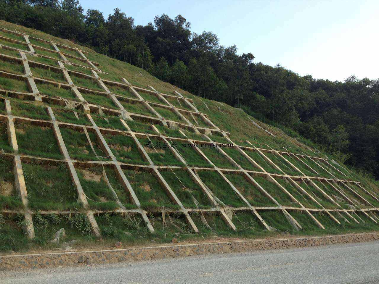 骨架护坡-边坡工程-广州哥利园林生态建设有限公司