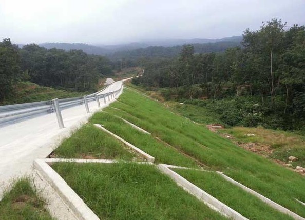 反压护坡施工技术分析-广州哥利园林生态建设有限公司