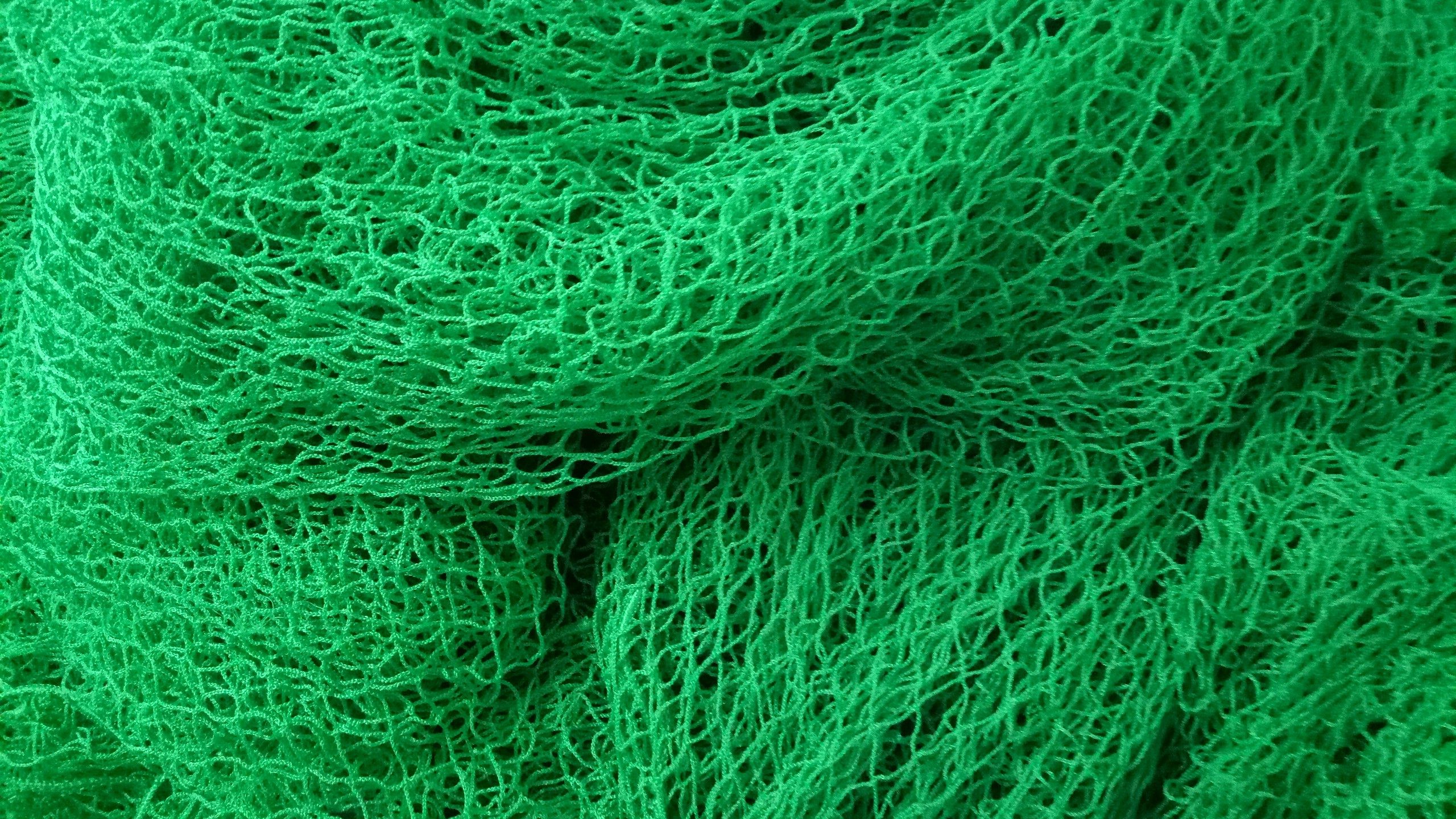 Golf Net