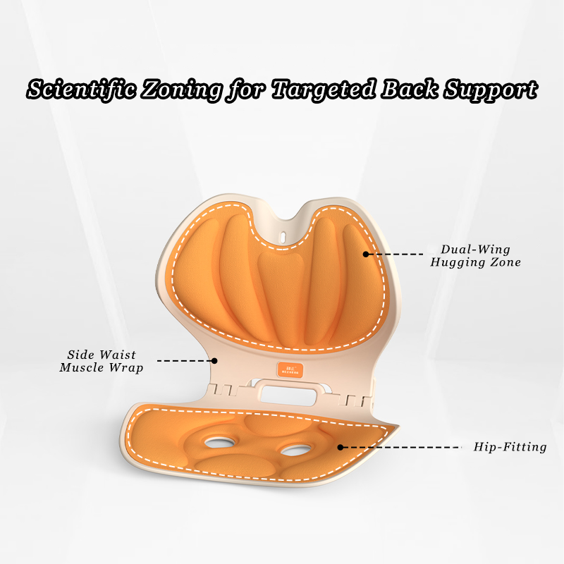 Back Supports Seat Cushion