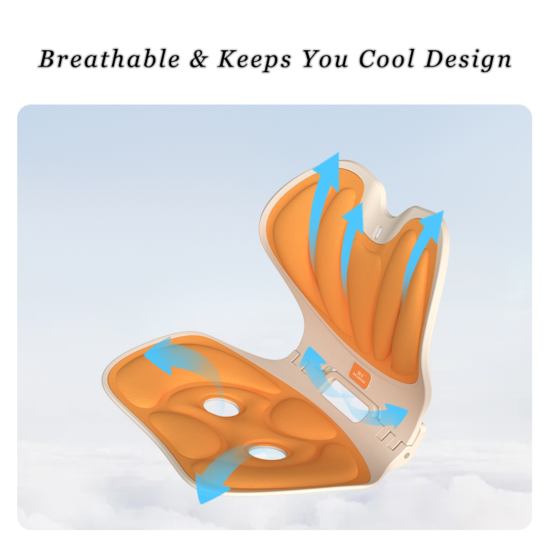 Back Supports Seat Cushion