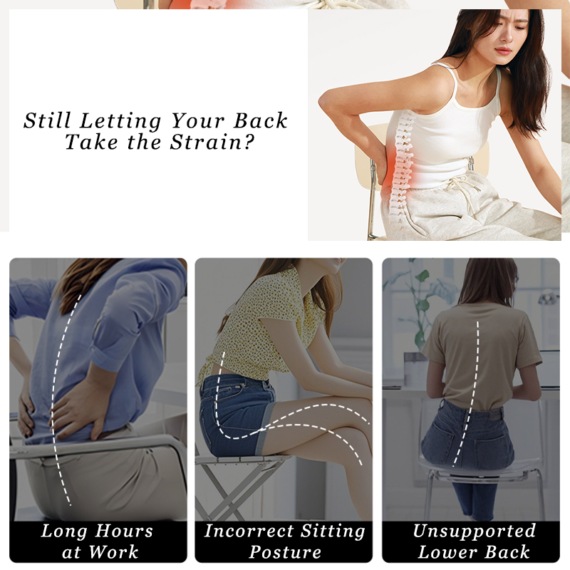 Back Supports Seat Cushion