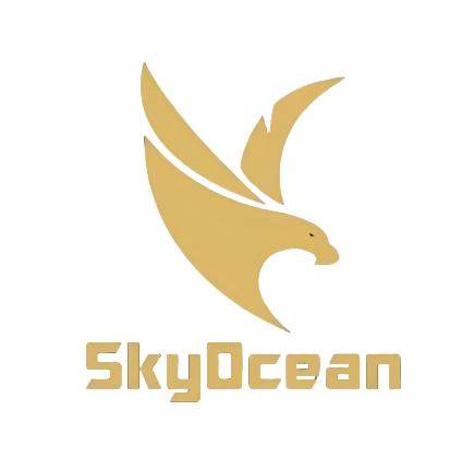 鸿海汇控股（广东）有限公司