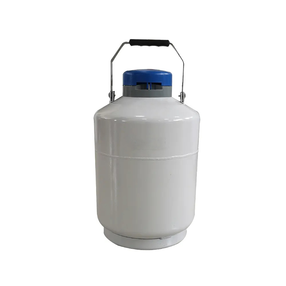 Portable storage series liquid nitrogen tank
