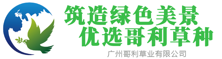 绿化草坪种子 四季常青草种籽厂家 边坡工程材料资材批发 广州哥利草业有限公司