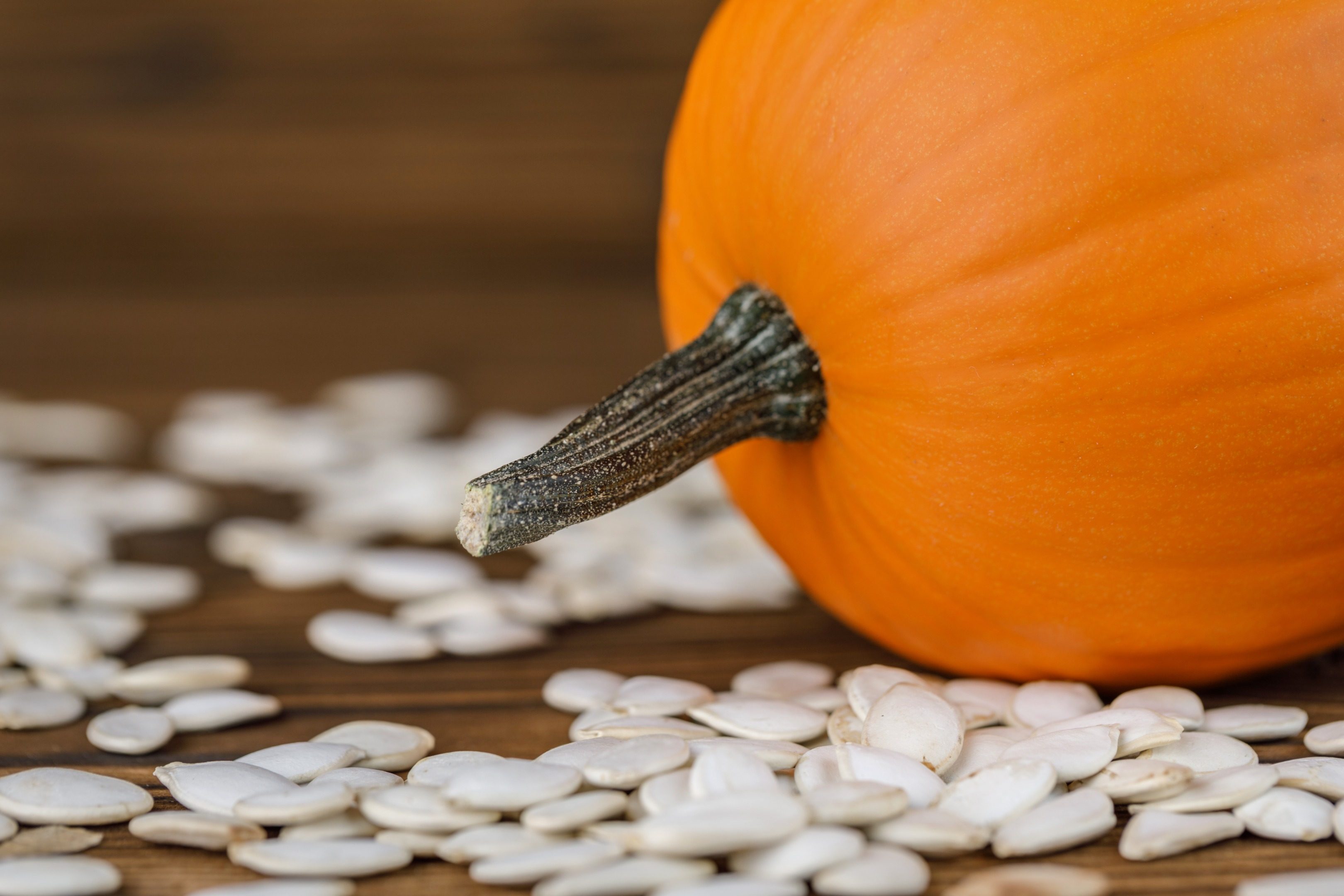 DALIAN GREAT HARVEST CO.,LTD