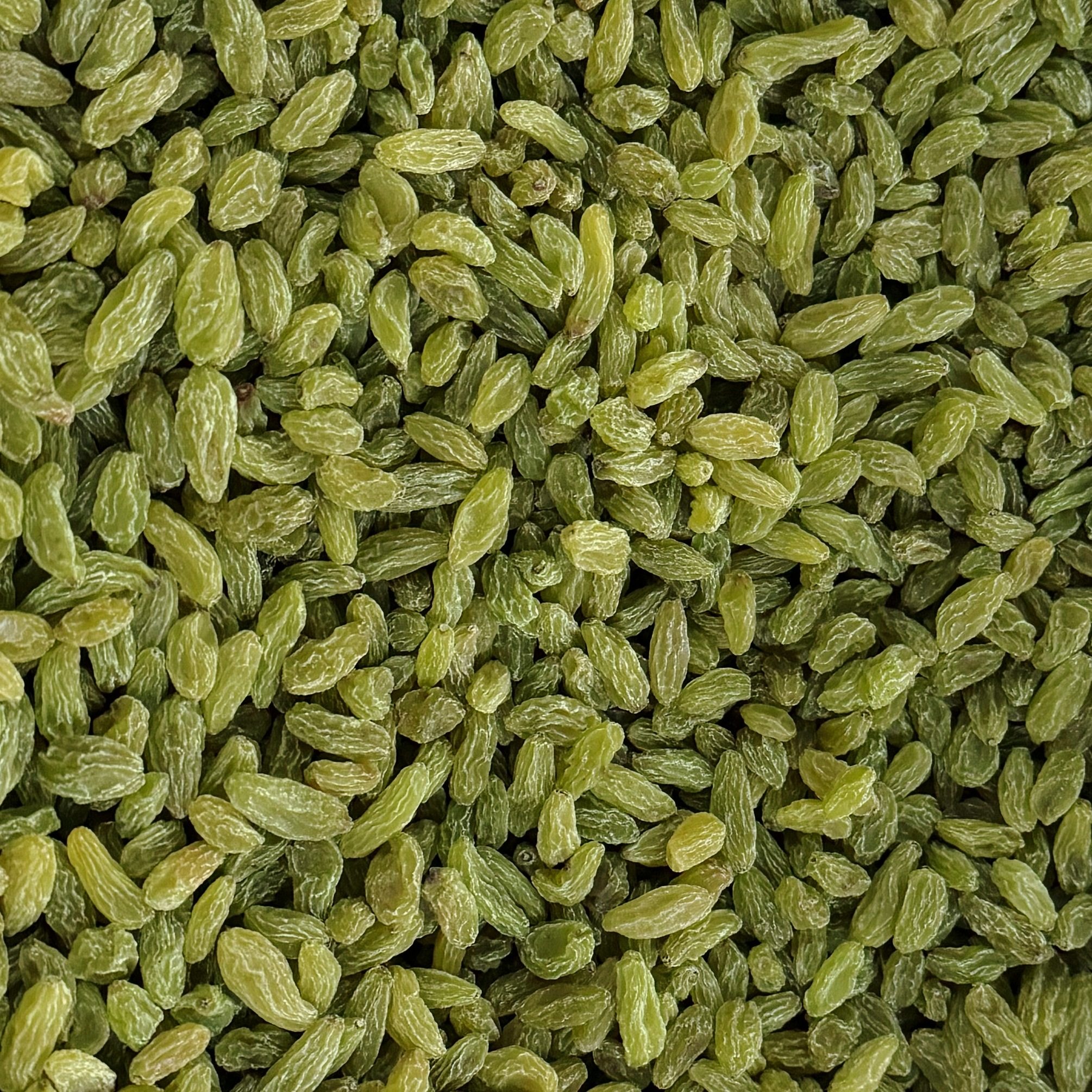 Green Raisins 绿葡萄干
