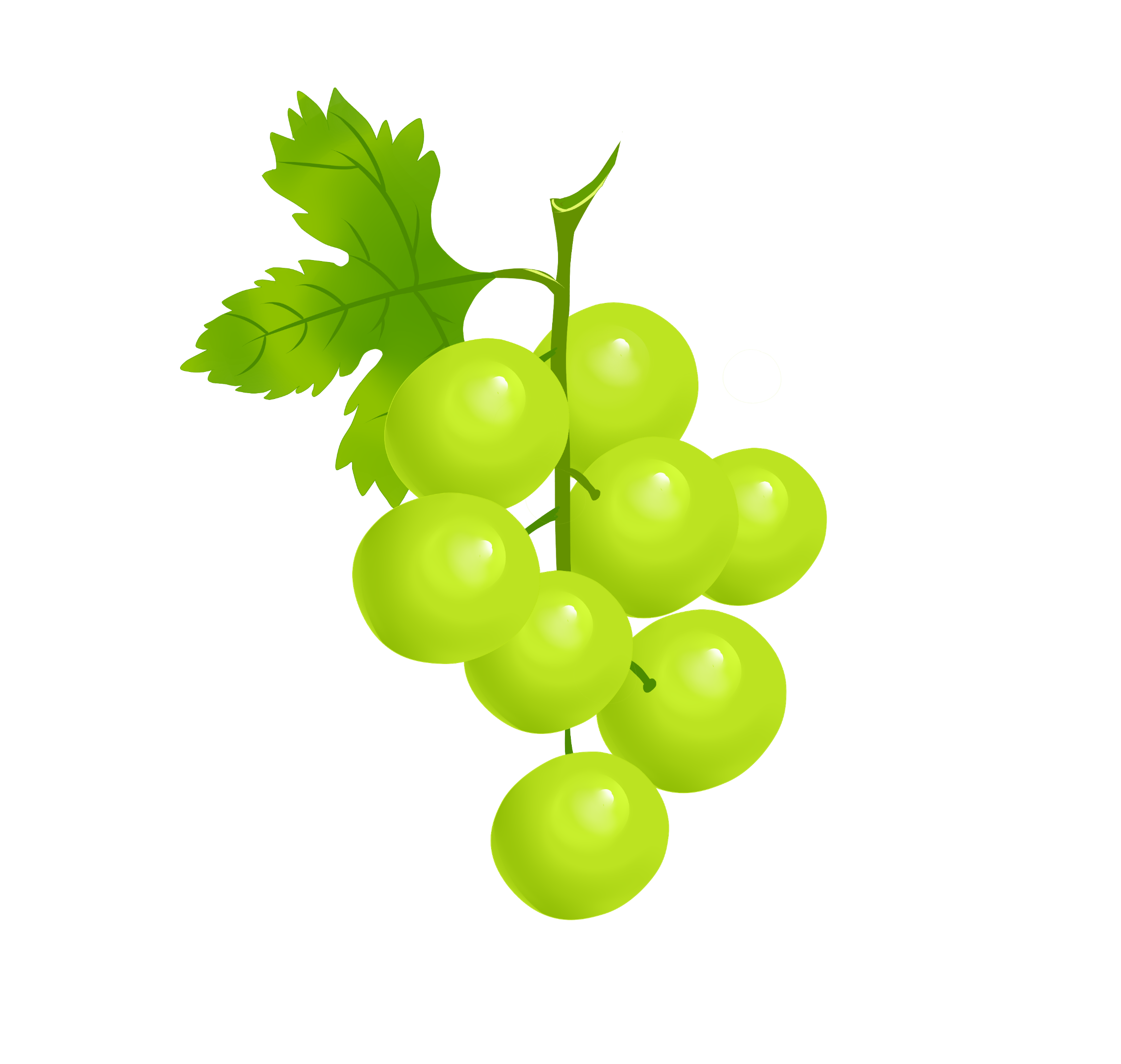 DALIAN GREAT HARVEST CO.,LTD