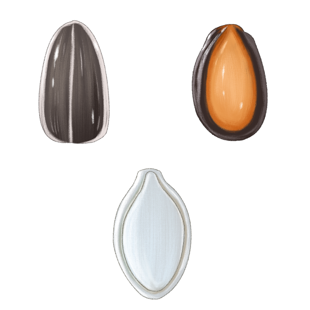 DALIAN GREAT HARVEST CO.,LTD