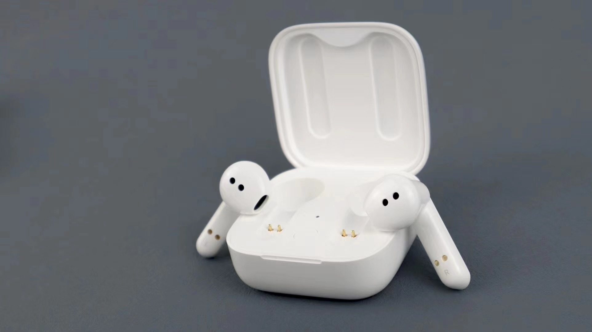 OEM Earphones