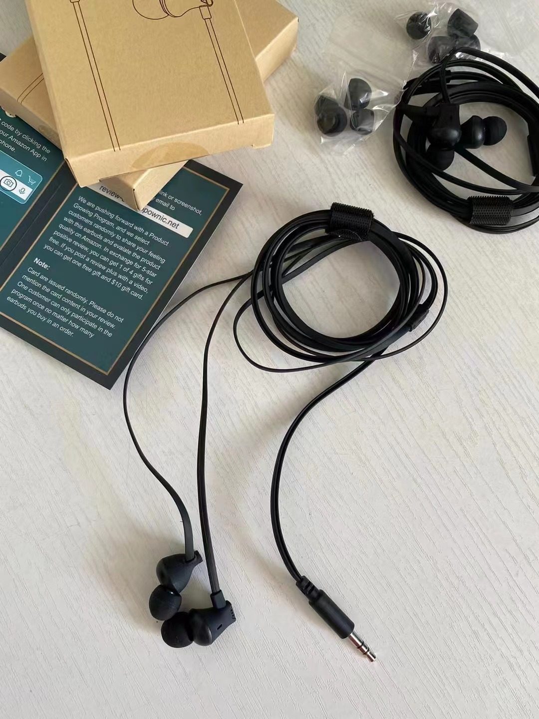 OEM Earphones