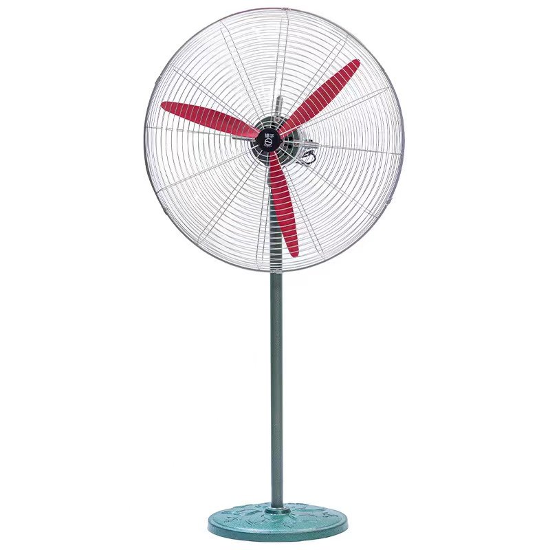 fan