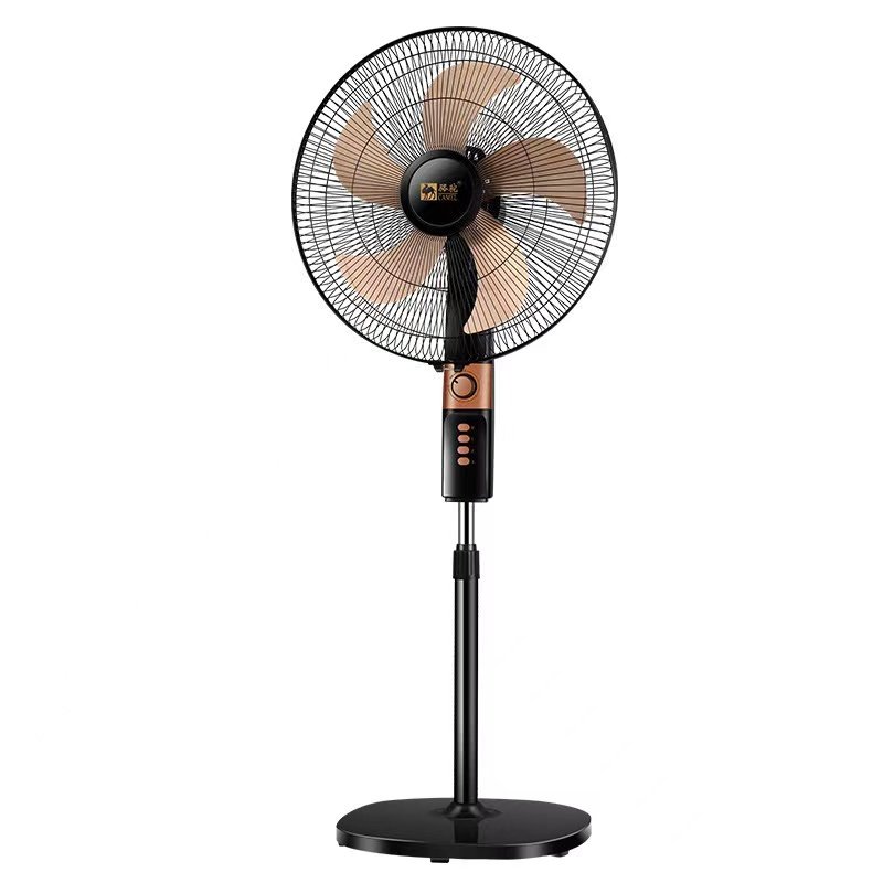 fan