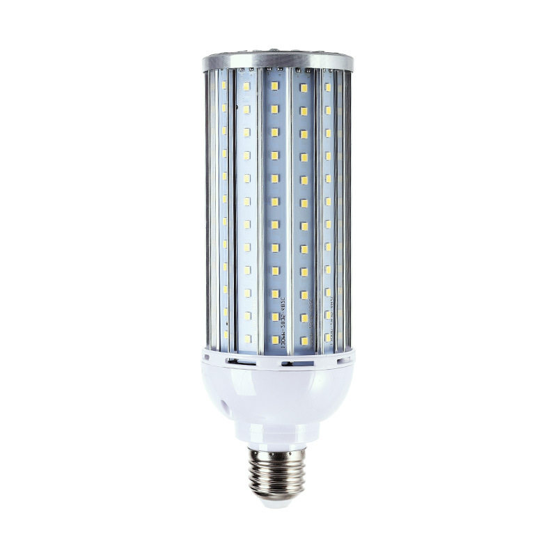 bulb