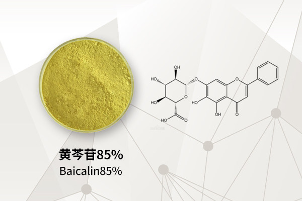 黄芩苷85%