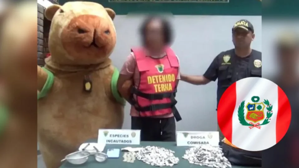 Peruvian police disguise themselves as capybaras to catch a drug trafficker
