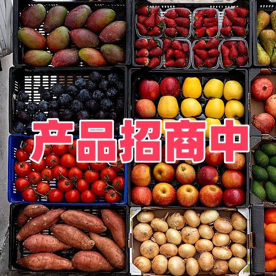 产品招商（一）