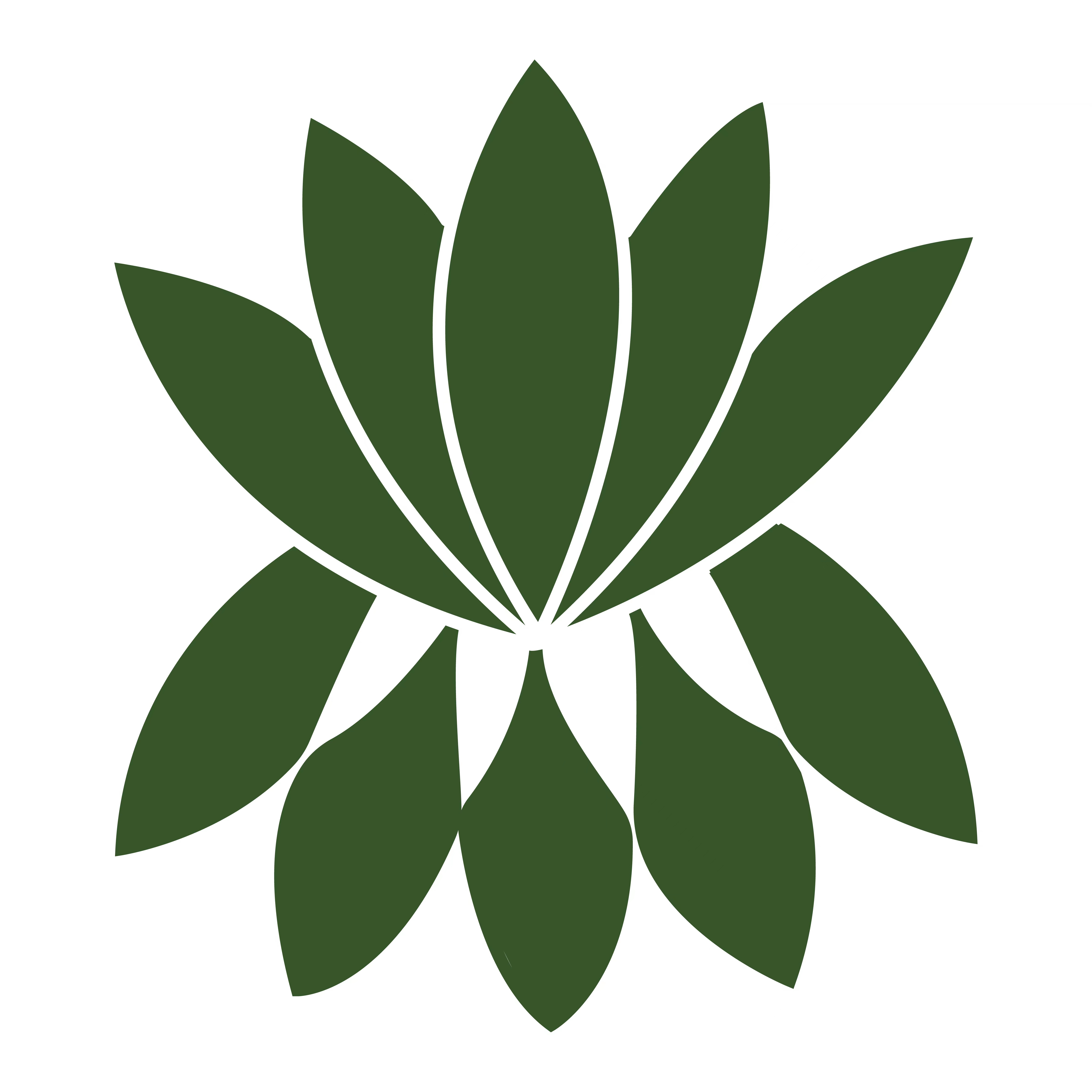 Poker King品牌介绍