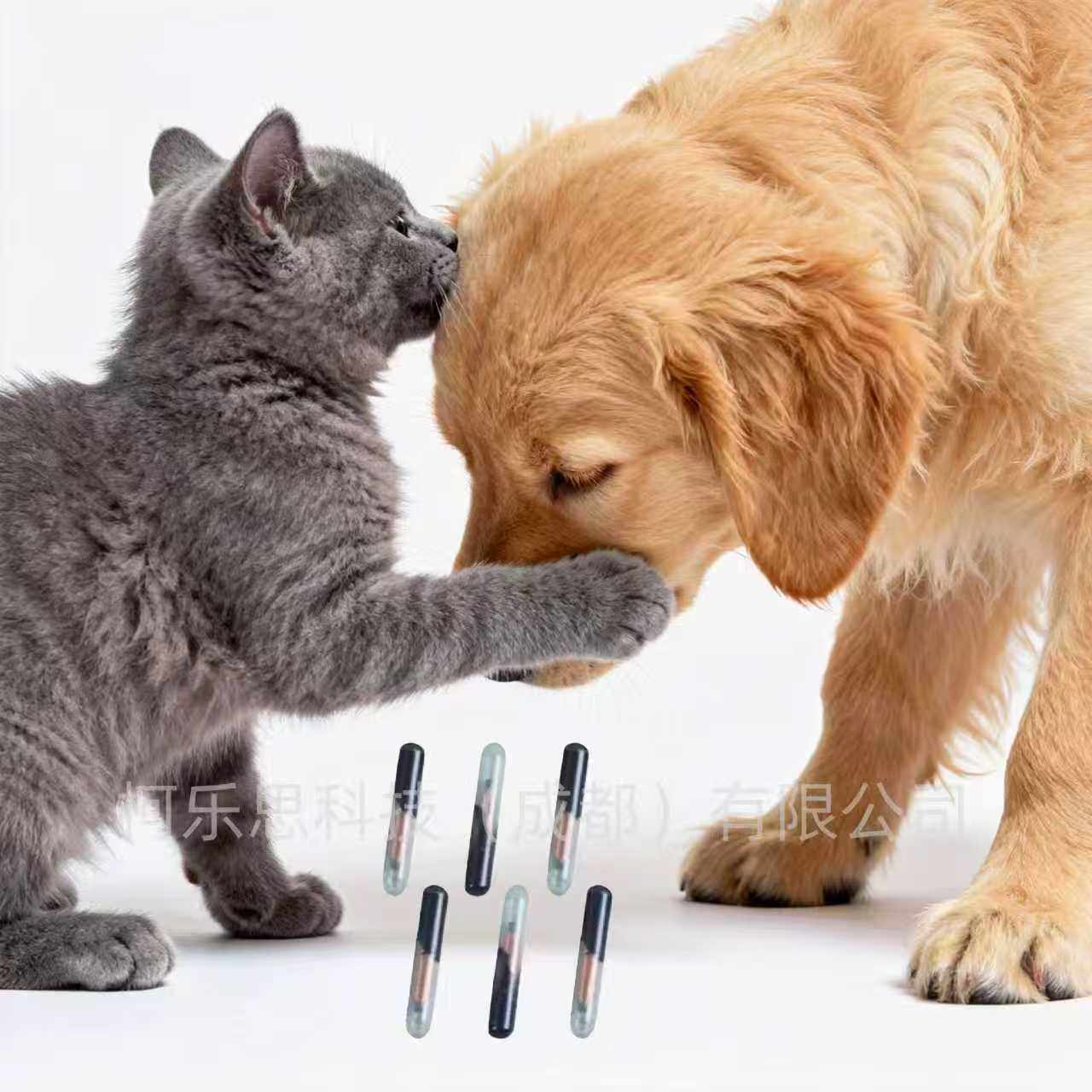 玻璃管芯片KT-2032