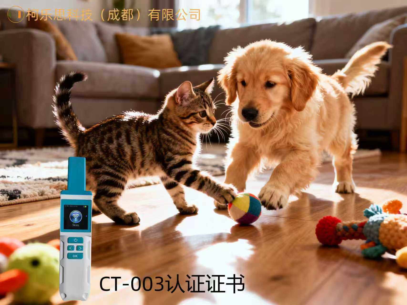 柯乐思科技（成都）有限公司