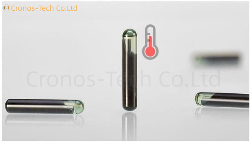 Glasstag temperature chip KT2031