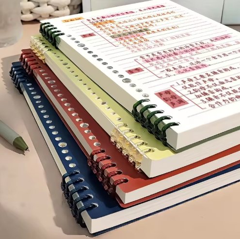 school various colors Notebook