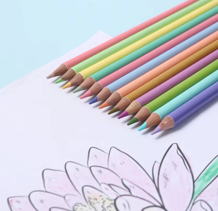 color lead pencil painting