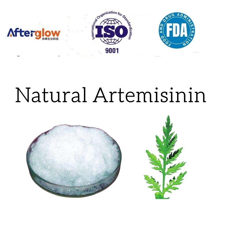 10% 99% Natural Artemisinin