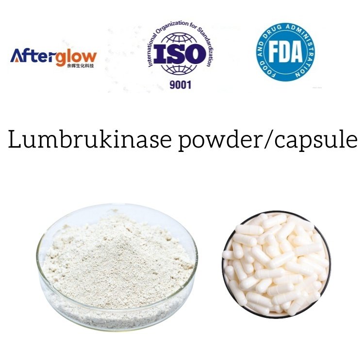 Lumbrukinase