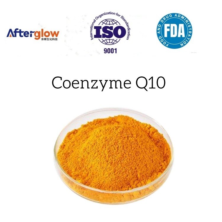 Coenzyme Q10 Powder