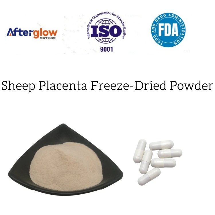 Sheep Placenta Freeze-Dried Powder