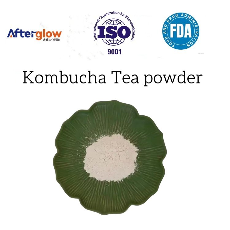 Kombucha powder