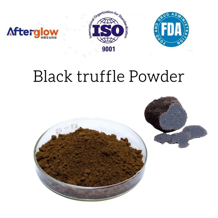 Black truffle Powder