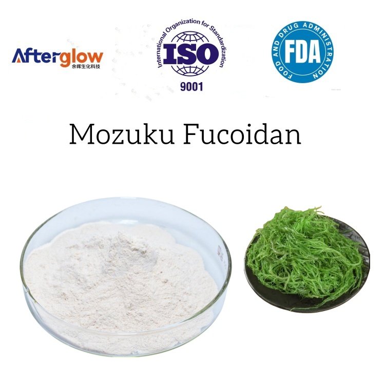 Japanese Mozuku extract Fucoidan